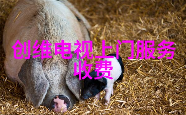 纯净之源水的颠覆循环