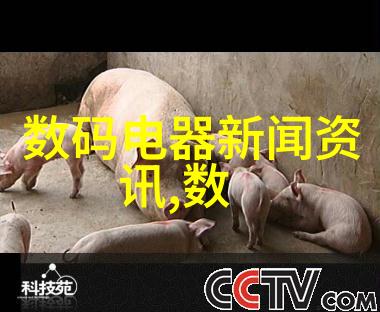 华联股份探索机构发展的新路径