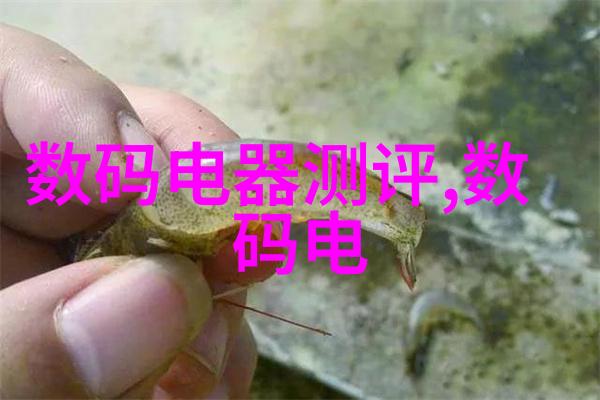 扣仙门揭秘古老道教神秘世界