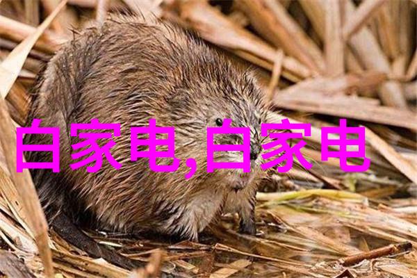 我的附近汽配城维修与购物的温馨港湾