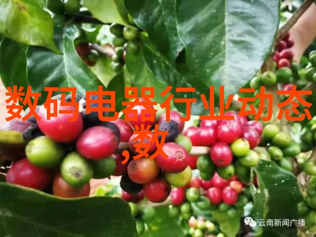 一进门就是客厅怎么装修图片我来告诉你这些建议