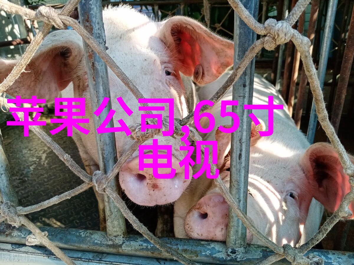 爱意汹涌心海的狂澜