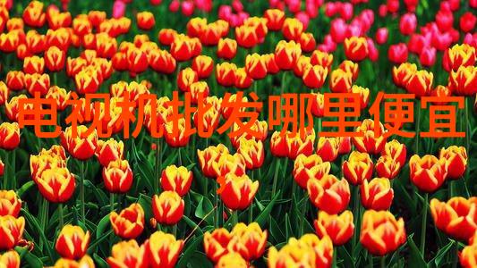 附近不锈钢加工厂的兴旺景象