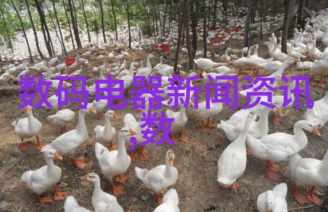 探究自来水管材料选择PPR与PE管的性能比较与应用分析