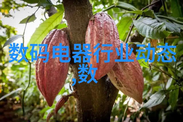 物理学中的热传导如何让物体交换温暖