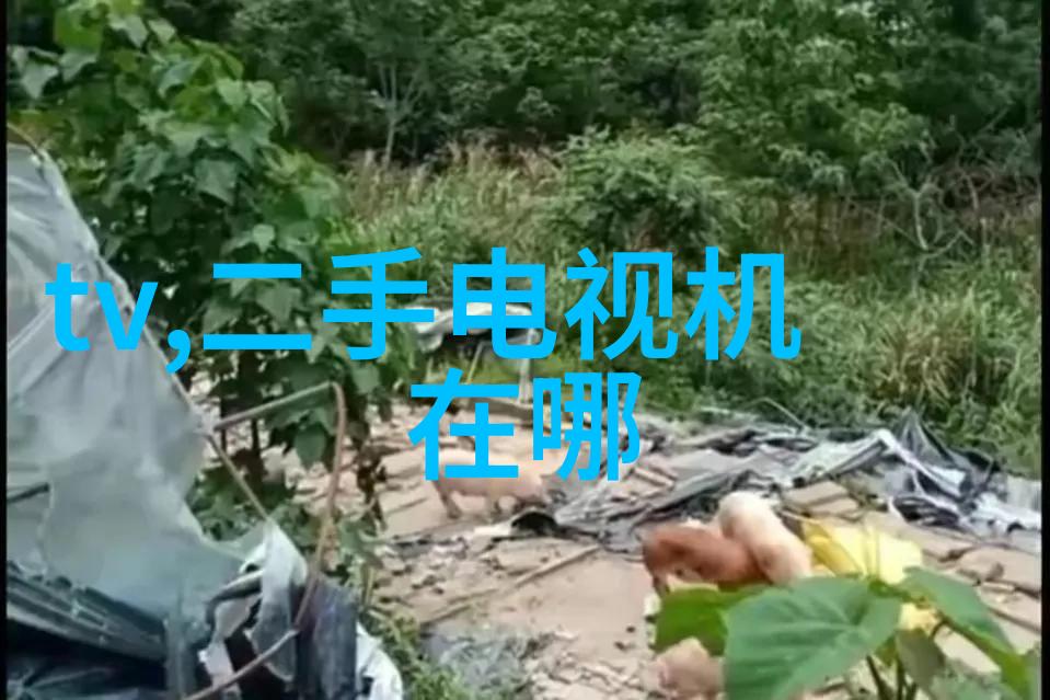 家居诗篇客厅装修艺术的无限想象