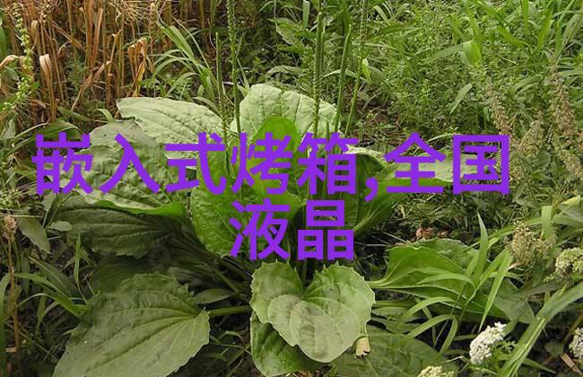 小说界的新风尚无删减全文免费阅读体验