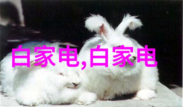 电流的秘密三相分离器背后的神秘力量