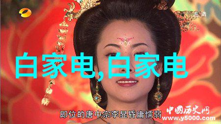 巨幕视界大屏幕电视的魅力与未来趋势