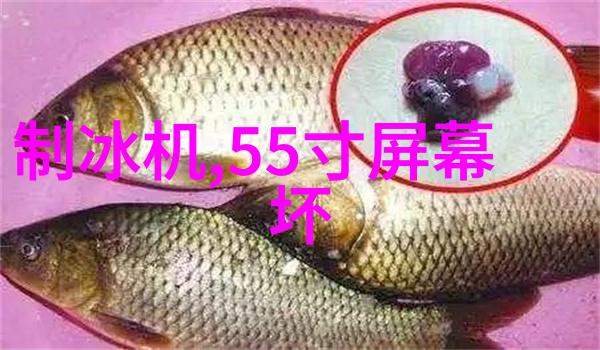BGMBGMBGM老太太交小伙子我亲眼见到那位年迈的阿姨如何与一个年轻小伙子的浪漫故事