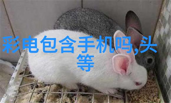 车轮的呼唤在车上一次又一次挺入的孤独旅行