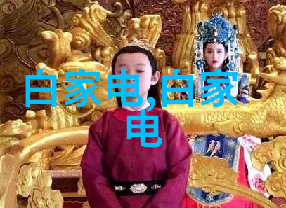 蒸汽发生器-超压锅炉技术的革命 探索高效能量转换的新纪元