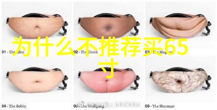 家居美学探索房子装修设计的艺术与实用