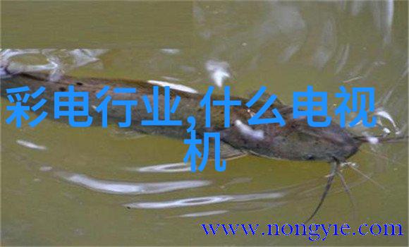 防腐涂塑steel pipe factory What are the differences be
