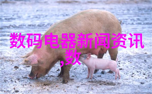 居家美学装修细节之争