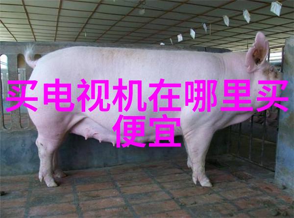 化工卫生阀守护安全的门锁