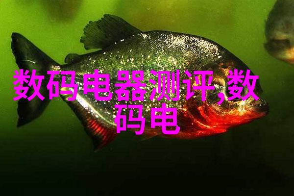 毛坯房刷墙要刷几道工序 - 从初步准备到完美仕封解密毛坯房墙面施工的七大关键工序
