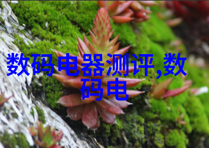 专业生产规整填料的关键技术要点解析