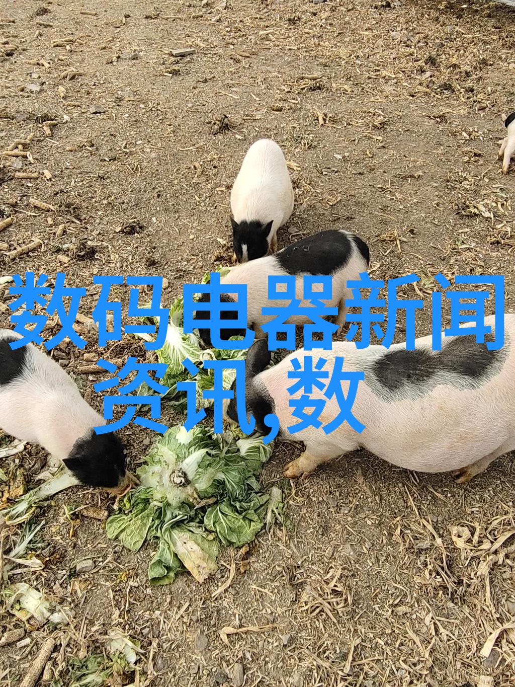 现代化监测系统对于提升水利水电管理水平有什么作用