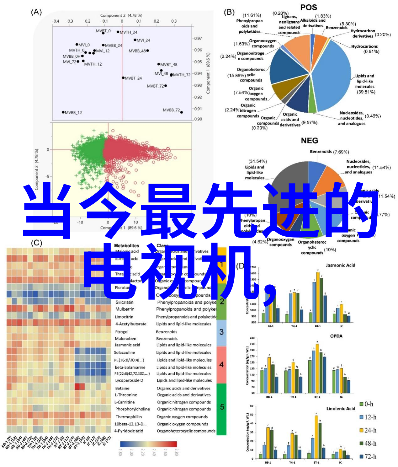 山东蓝天守护者绿色工程的故事