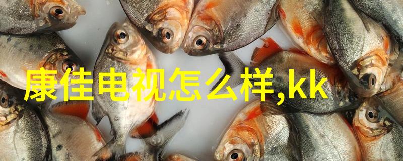 空调遥控器万能-夏日解暑神器空调遥控器的无限魅力与实用性探究
