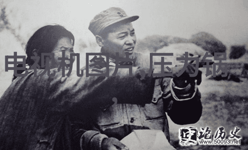 探究T型波纹填料在软组织修复中的应用前景及其可能的生物相容性机制