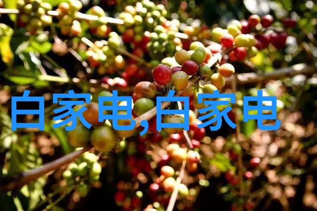 温馨居所简约客厅装修艺术的完美体现