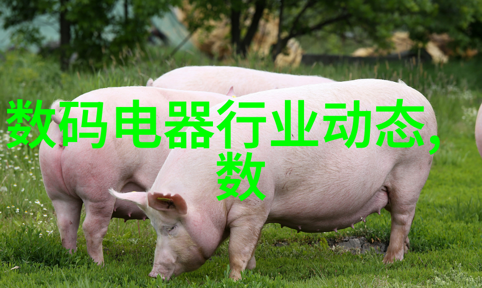 反复解决上海卫生间装修常见问题的方法与步骤