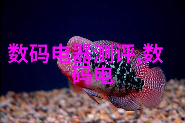 一天接10个客人疼死了视频我是酒店前台你知道今天多么忙吗