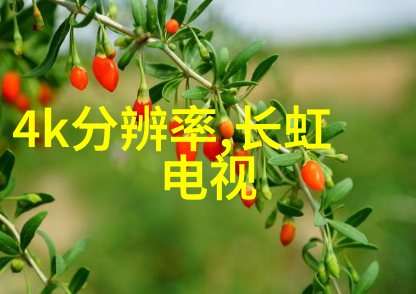 如何确保化工固体药品的质量检测符合国际标准