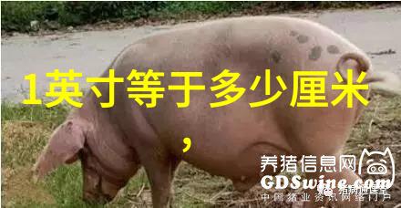最新娱乐资讯我都知道了星爷新片曝光老司机再次驾驭奇幻之旅