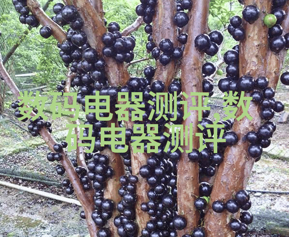 生态绿色住宅