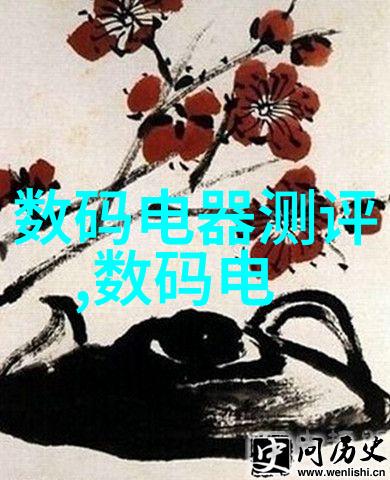 白俄罗斯街头的节奏与力量RAPPER潮流如何塑造国民文化面貌