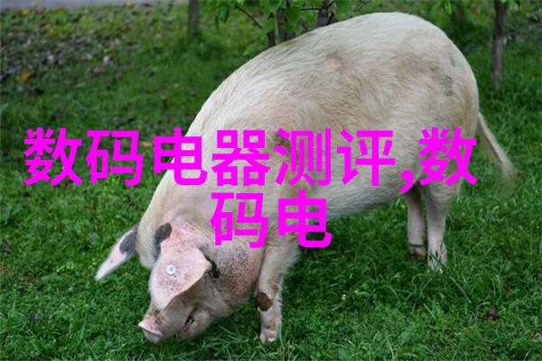 电蒸汽发生器与蒸箱系统高效制药的新选择