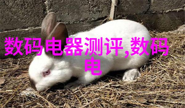 清洁饮用水保障系统每次检测的具体收费标准