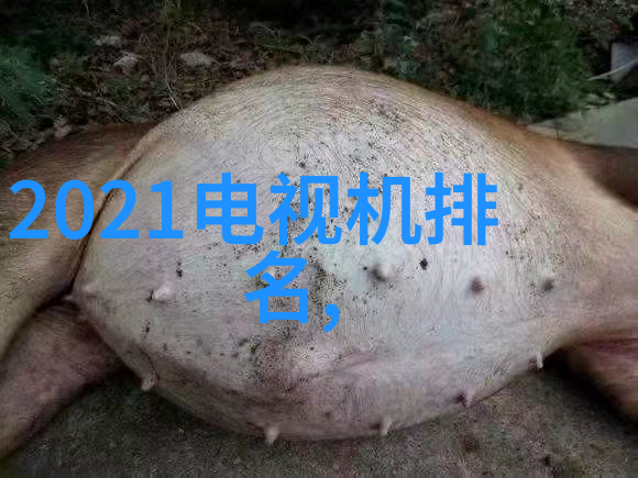 低温等离子体灭菌技术高效无害微生物消毒