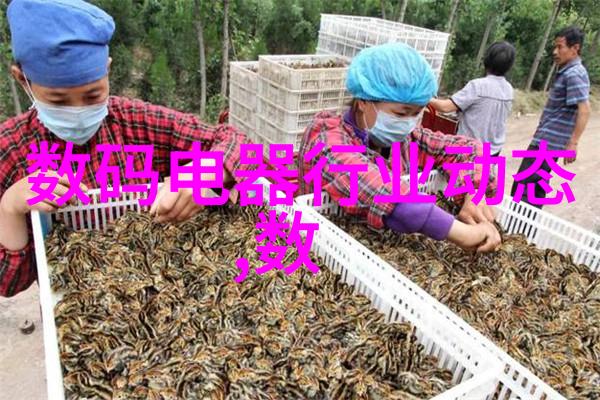说英雄谁是英雄小说我怎么就成了传说中的英雄