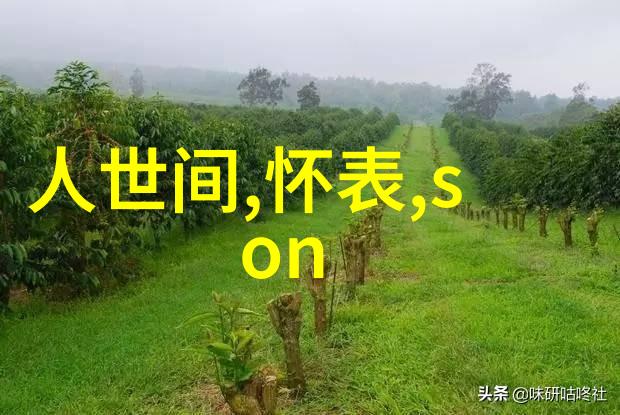 风力驱动的绿色能源未来探索气力输送系统的革命性发展