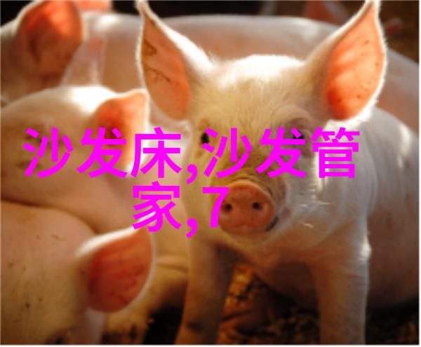 那那些古代文人将自己对于生命和艺术的深刻思考寄托在了金陵春等名著中它们与兰花有什么共同之处