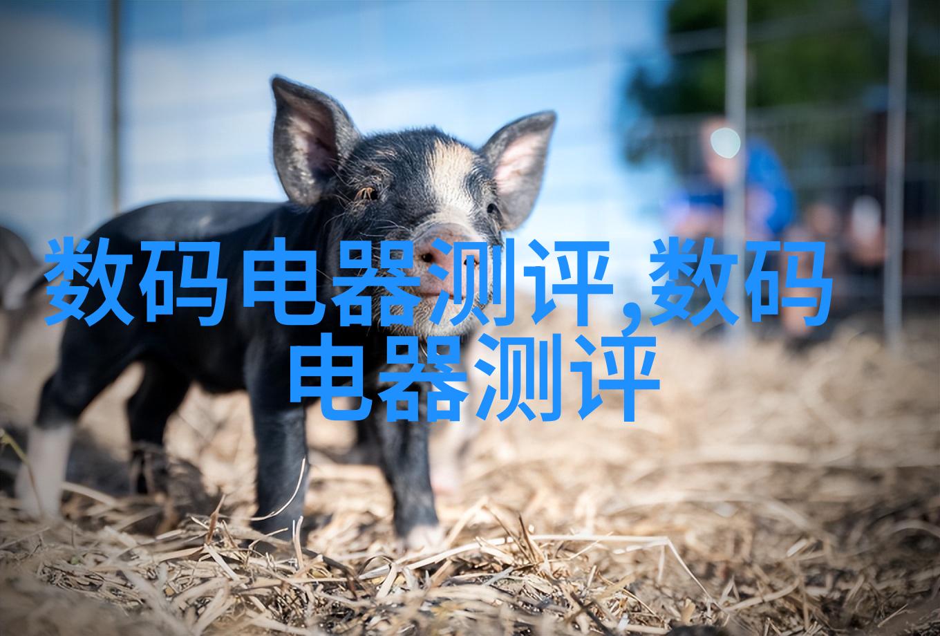 图片描述