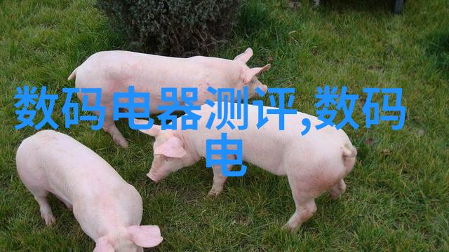 天津搬家记从北洋大港到南市小巷的穿梭冒险