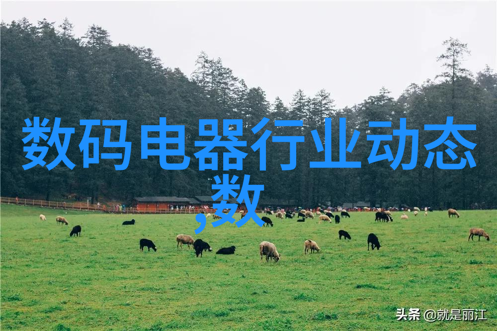 物料输送设备-智能化与自动化提升物料输送设备的未来趋势