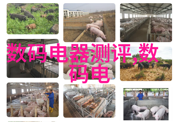 家具推荐从普通装修图片中选购合适的家具品种