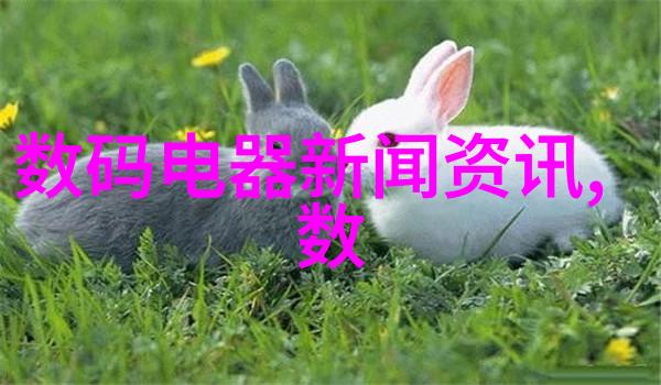 mwe之谜解析迷雾中的微小世界