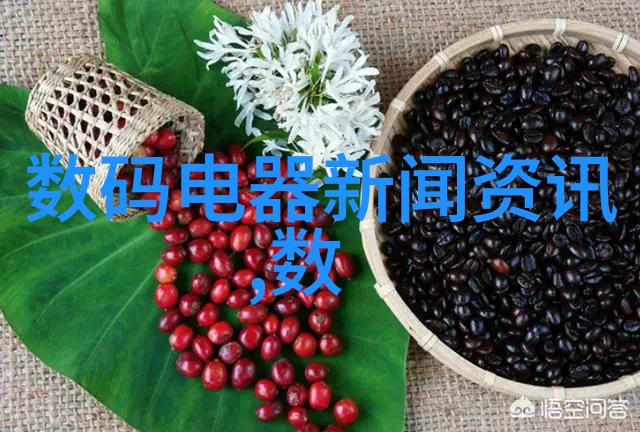 岩板的故事探索地层中的古老记忆
