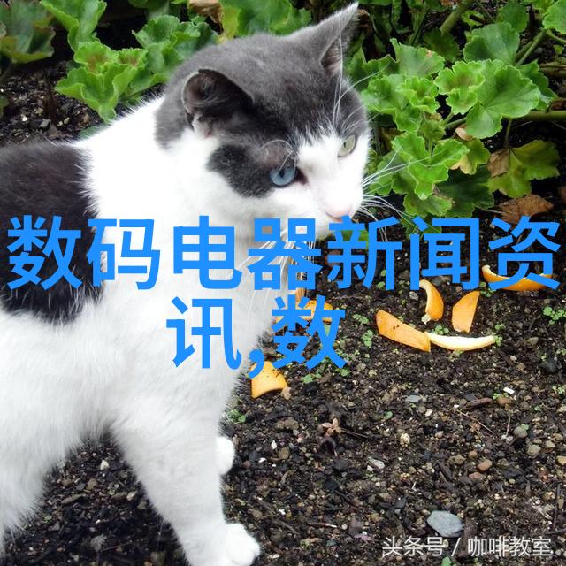 当地PVC管件供应商聚集地探秘