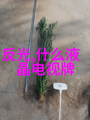 星际猎手至高悬赏吧