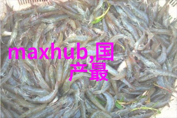 银河第一纪元宇宙的诞生与无限可能