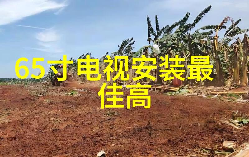 九鼎的荣耀古代象征之美与智慧