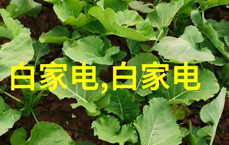魔术师的启蒙霍格沃茨学位申请指南